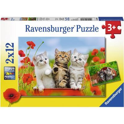 Spiel 2377.0