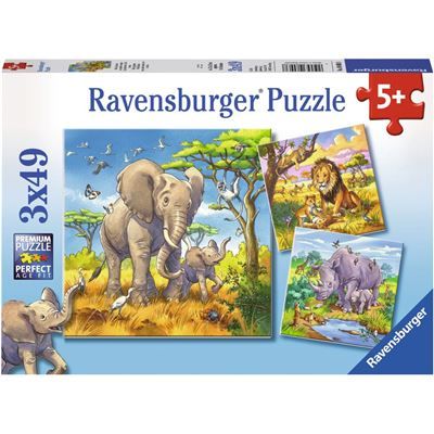 Spiel 2421.0